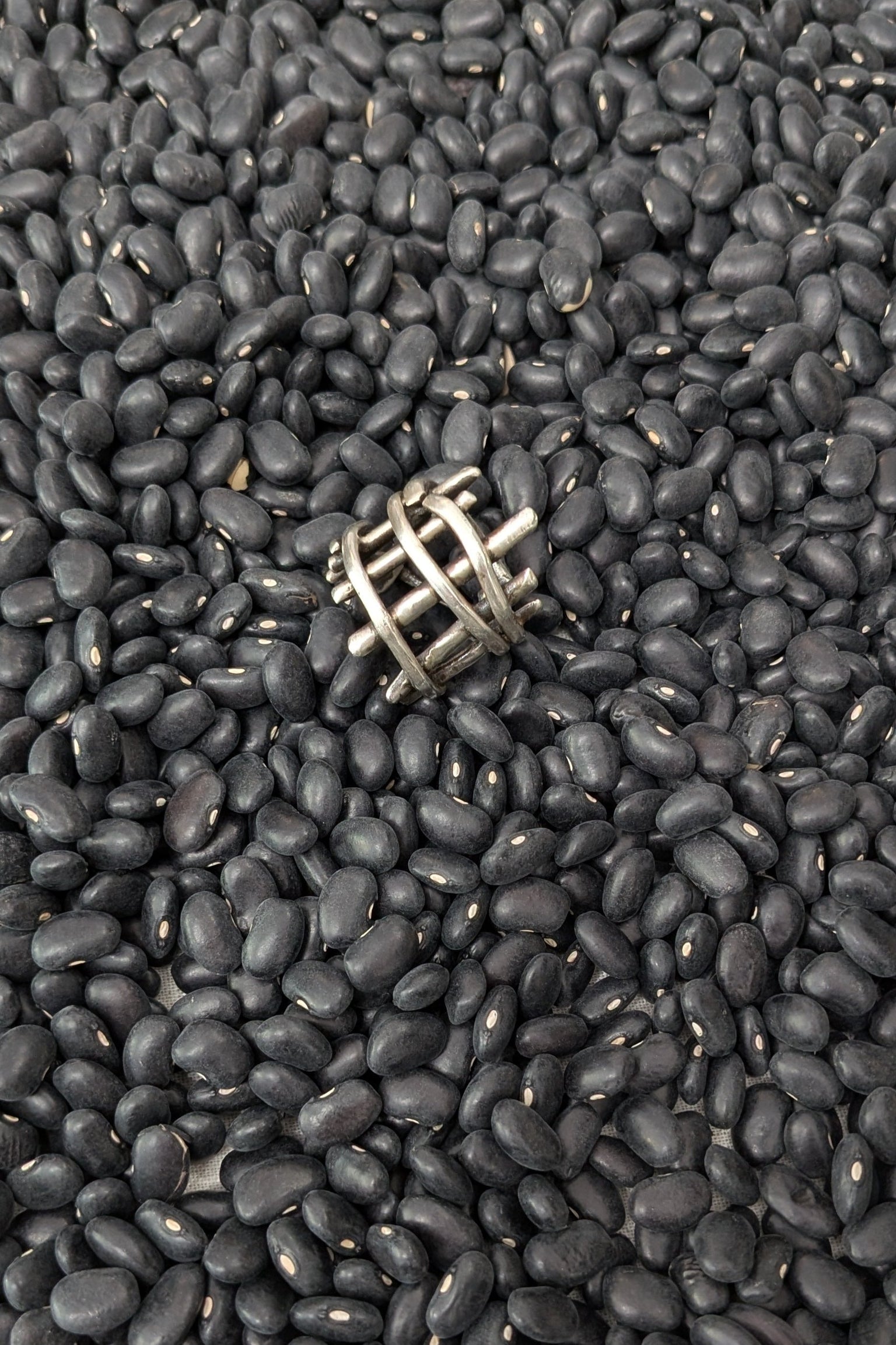 LiLi_The_First_boutique_Washington_DC_-_Jill_Herlanda_Criscross_silver_ring