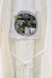 Maria Calderara - Satoshi Hirose - Ra-Ra Fashion - Coat , duster - Nylon - White