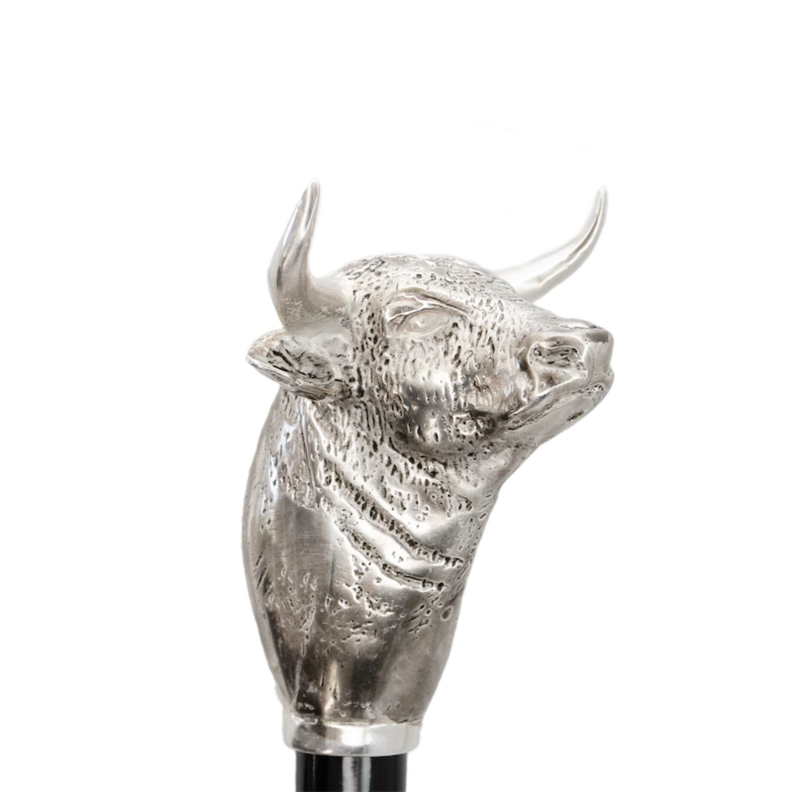 Pasotti-Bull-Shoe-horn