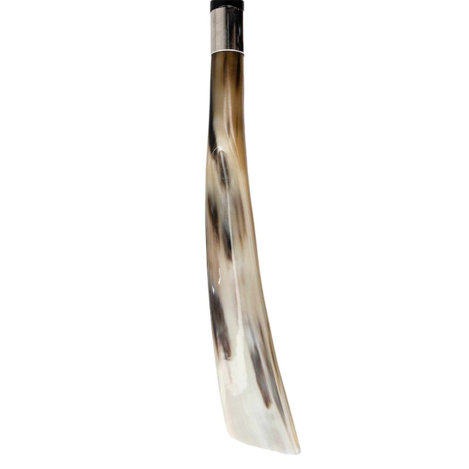 Pasotti-Bull-Shoe-horn