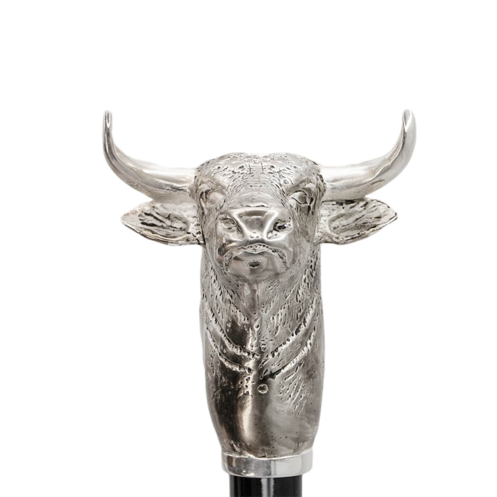 Pasotti-Bull-Shoe-horn