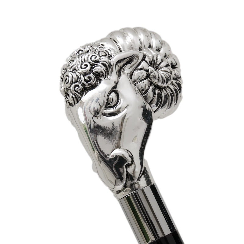 Pasotti-Ram-Shoehorn